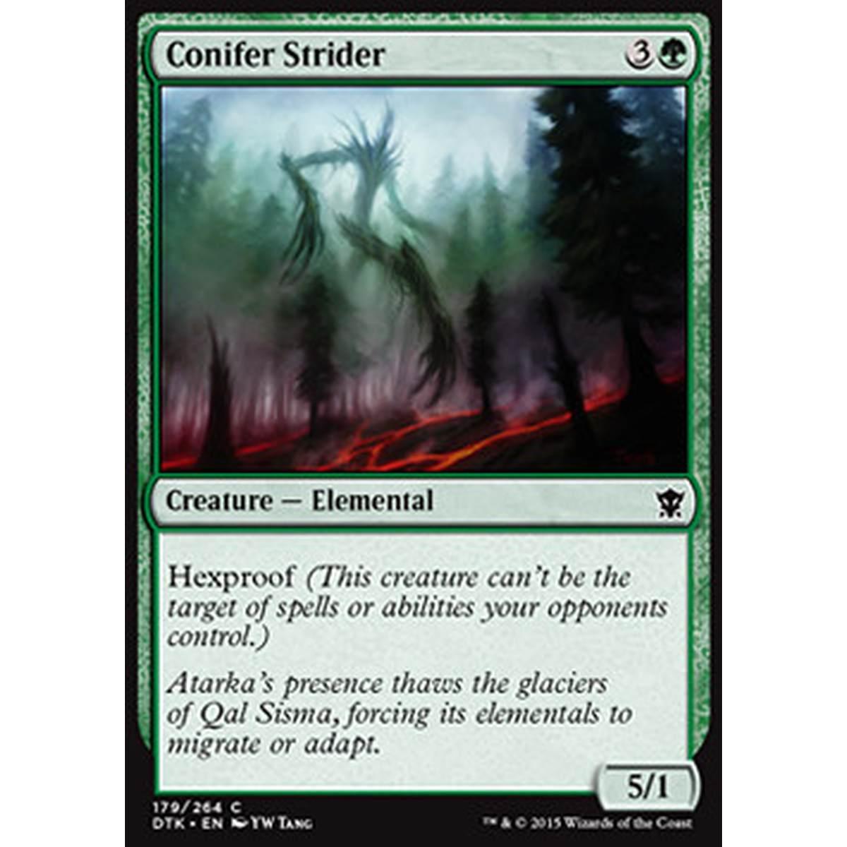 Conifer Strider - Conifera Errante - [DTK] [NM]