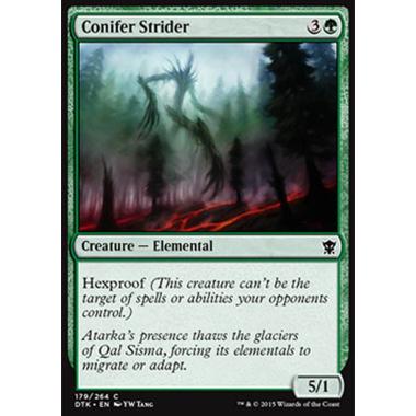 Conifer Strider - Conifera Errante - [DTK] [NM]