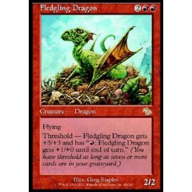 Fledgling Dragon - Fledgling Dragon - [JUD][GD]