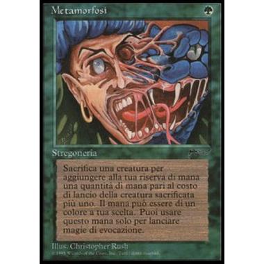 Metamorphosis - Metamorfosi - [RI][GD]