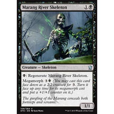 Marang River Skeleton - Scheletro del Fiume Marang - [DTK] [NM]