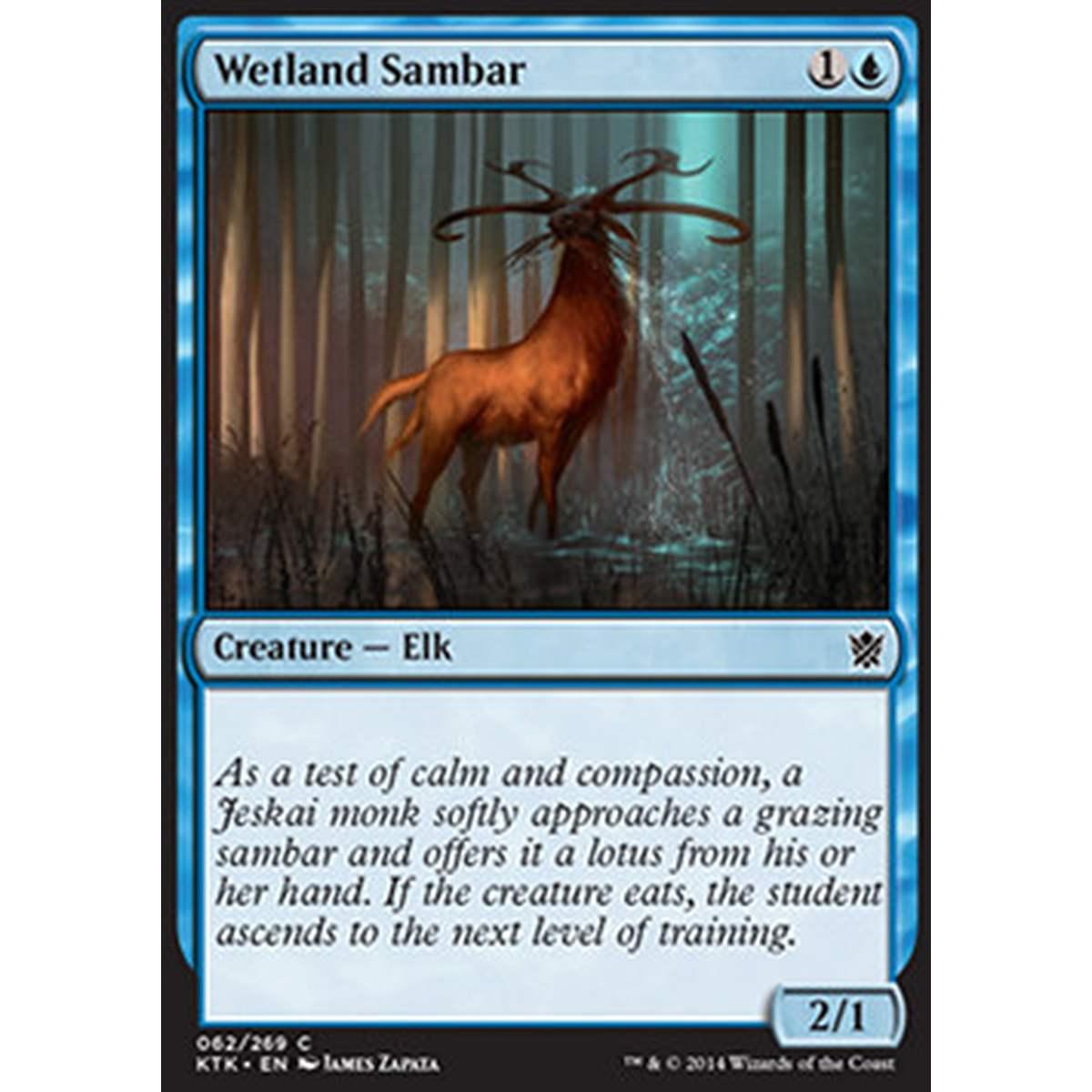 Wetland Sambar - Sambar degli Acquitrini - [KTK] [NM]