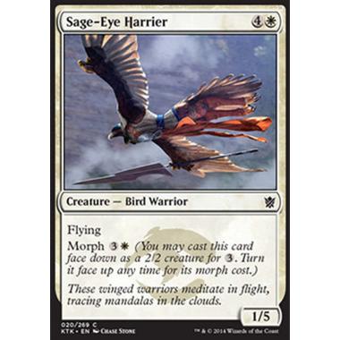 Sage-Eye Harrier - Rapace dell'Occhio Saggio - [KTK] [NM]