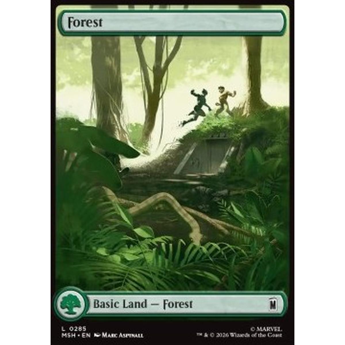Forest (V.1) - Forest (V.1) - [MSH][NM] [Foil]