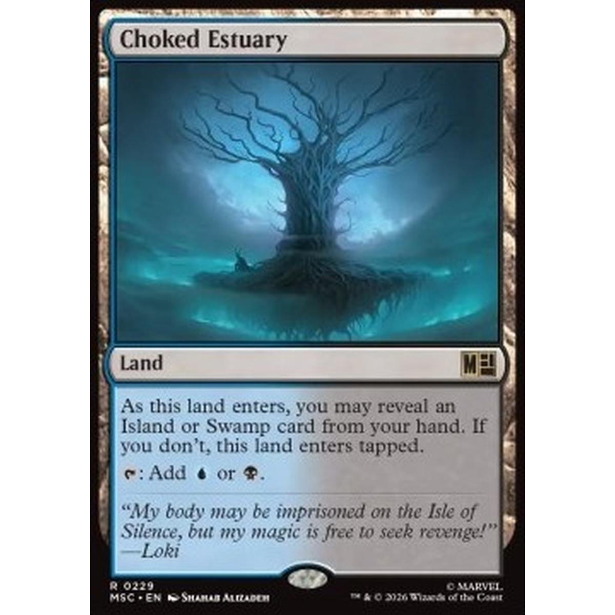 Choked Estuary - Estuario Soffocato - [MSC][NM]