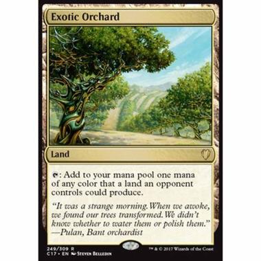 Exotic Orchard - Exotic Orchard - [C17][NM]