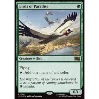 Birds of Paradise - Birds of Paradise - [MSC][NM]