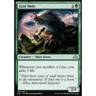 Graf Mole - Talpa del Cimitero - [SOI] [NM]