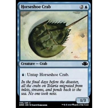 Horseshoe Crab - Horseshoe Crab - [DMR] [NM]