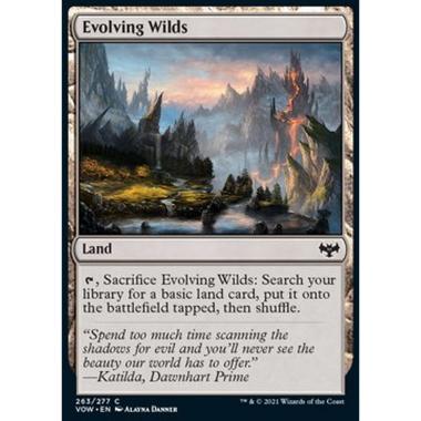 Evolving Wilds - Terre Selvagge in Evoluzione - [VOW] [NM]