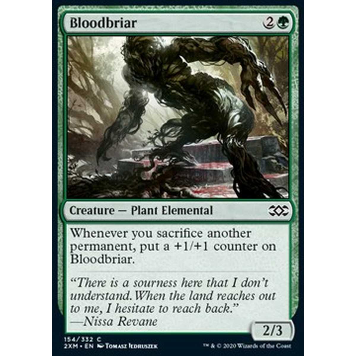 Bloodbriar - Bloodbriar - [2XM] [NM]