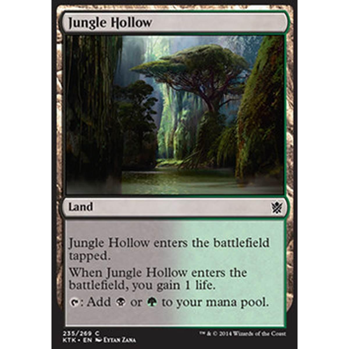 Jungle Hollow - Conca nella Giungla - [KTK] [NM]