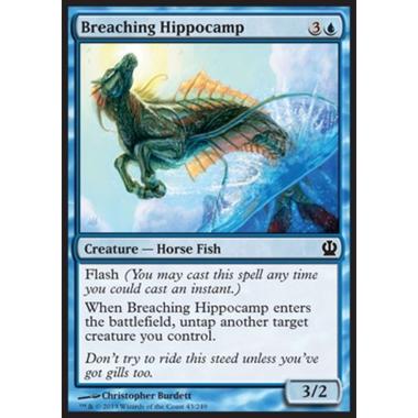 Breaching Hippocamp - Ippocampo Guizzante - [THS] [NM]
