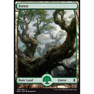 Forest (V.9) - Foresta (V.9) - [BFZ] [NM]
