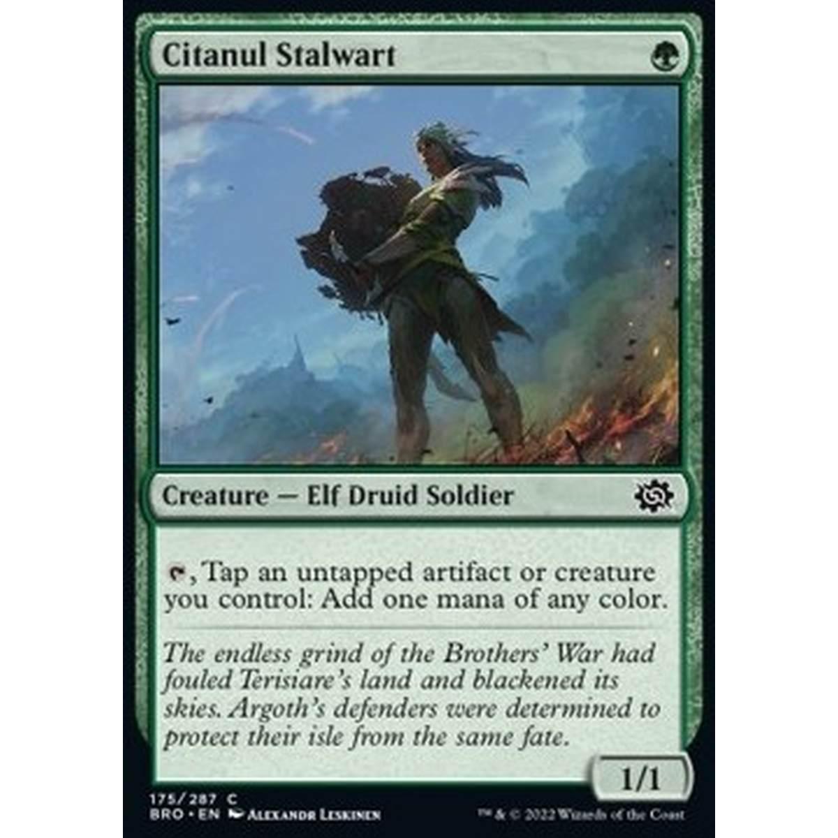 Citanul Stalwart - Citanul Stalwart - [BRO] [NM]