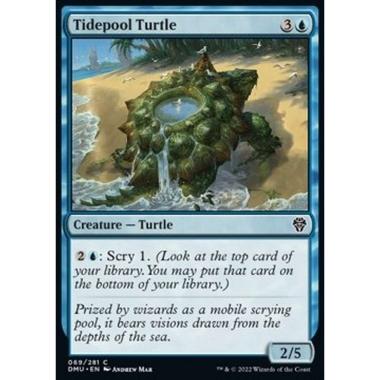 Tidepool Turtle - Tidepool Turtle - [DMU] [NM] [Foil]