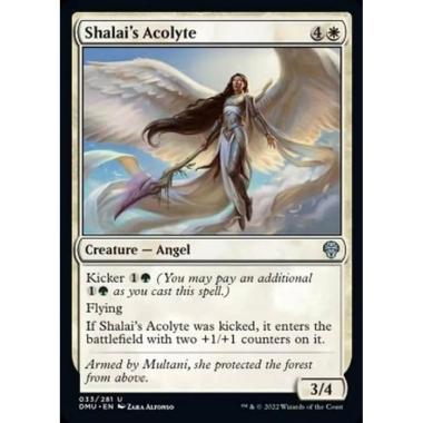 Shalai's Acolyte - Accolita di Shalai - [DMU] [NM]