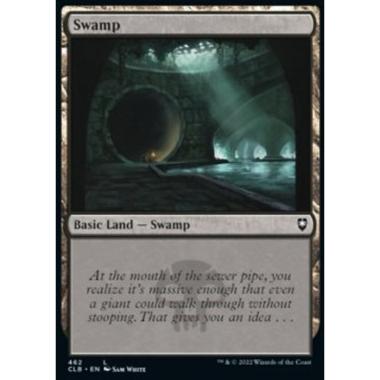 Swamp (V.4) - Swamp (V.4) - [XCLB] [NM] [Foil]
