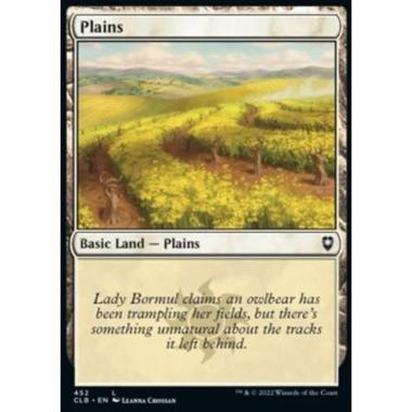 Plains (V.2) - Pianura (V.2) - [XCLB] [NM] [Foil]