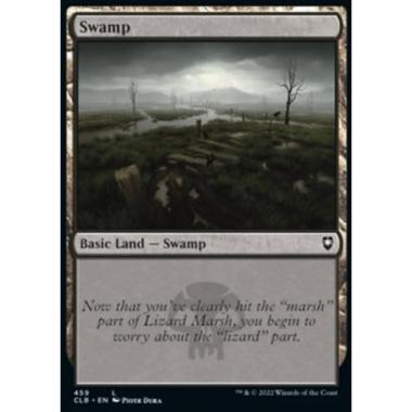 Swamp (V.1) - Swamp (V.1) - [XCLB] [NM] [Foil]