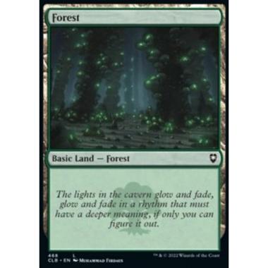 Forest (V.2) - Forest (V.2) - [XCLB] [NM] [Foil]