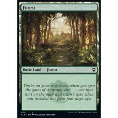 Forest (V.4) - Forest (V.4) - [XCLB] [NM] [Foil]