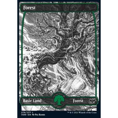 Forest (V.1) - Foresta (V.1) - [VOW] [NM]
