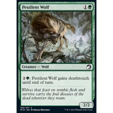 Pestilent Wolf - Lupo Pestilenziale - [MID] [NM] [Foil]