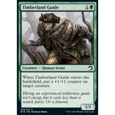 Timberland Guide - Guida dell'Albereto - [MID] [NM] [Foil]