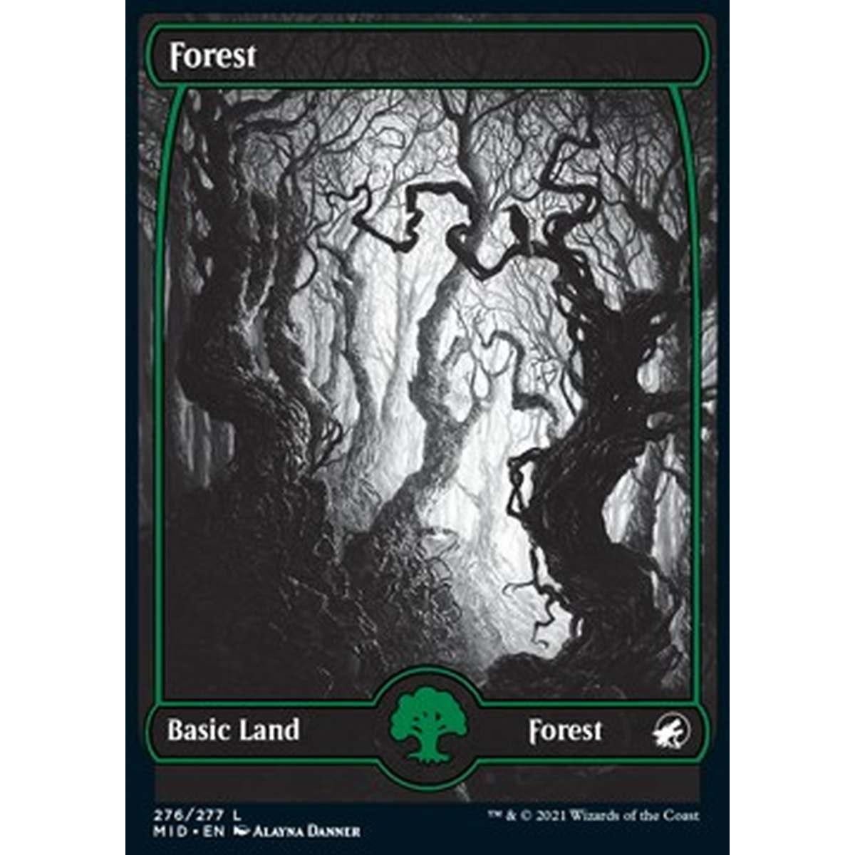 Forest (V.1) - Foresta (V.1) - [MID] [NM]