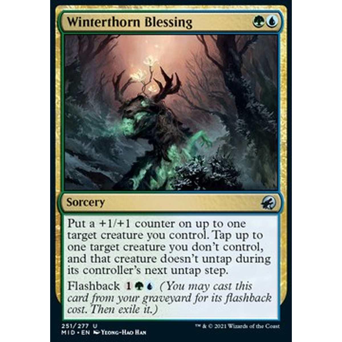 Winterthorn Blessing - Benedizione dell'Invernospino - [MID] [NM]
