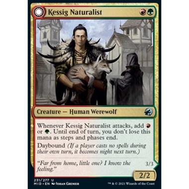 Kessig Naturalist // Lord of the Ulvenwald - Kessig Naturalist // Lord of the Ulvenwald - [MID] [NM]