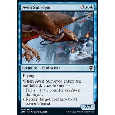 Aven Surveyor - Aven Surveyor - [CMR] [NM] [Foil]