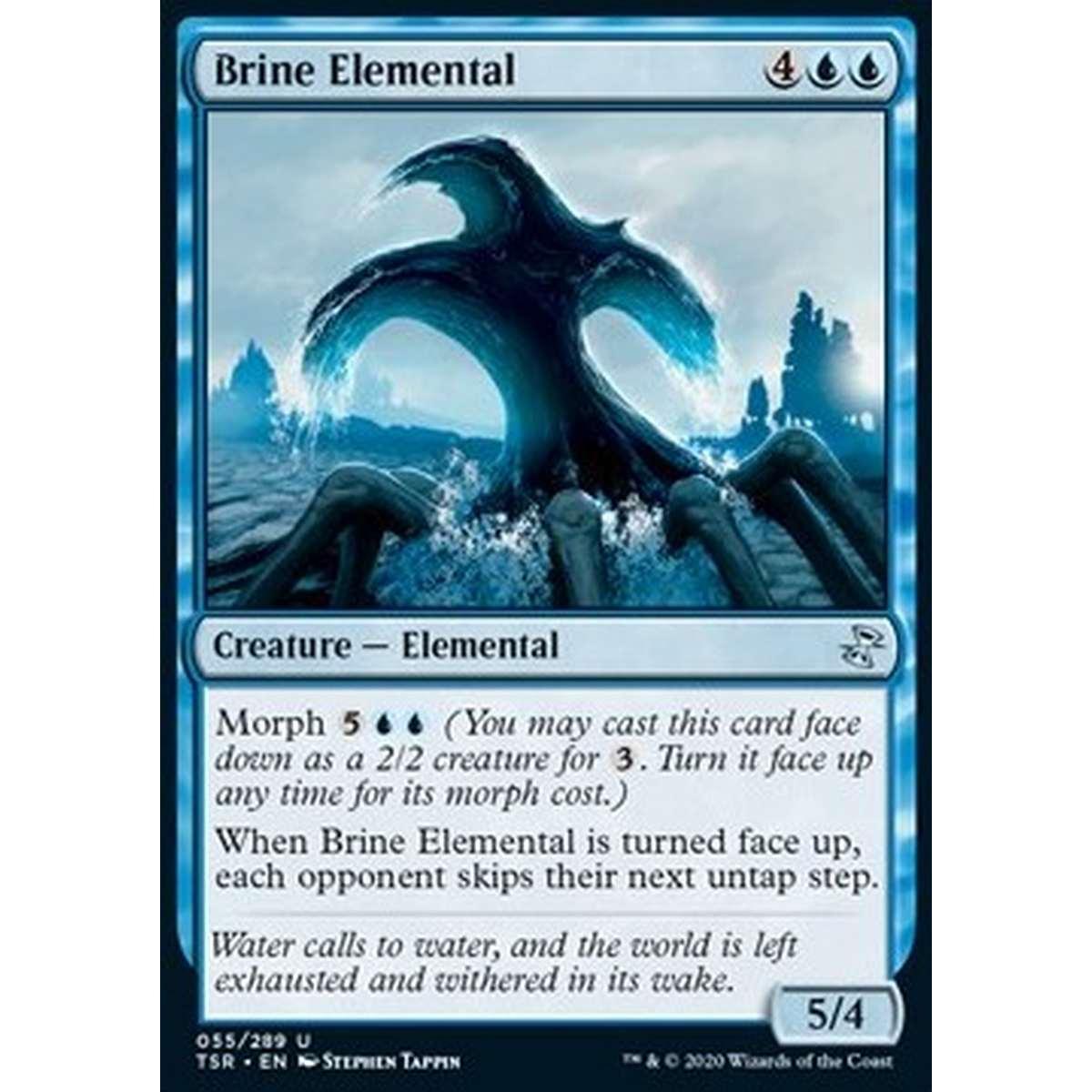 Brine Elemental - Brine Elemental - [TSR] [NM]