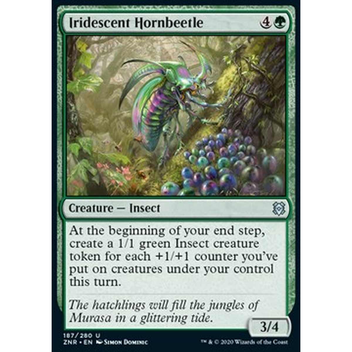 Iridescent Hornbeetle - Cornoleottero Iridescente - [ZNR] [NM]