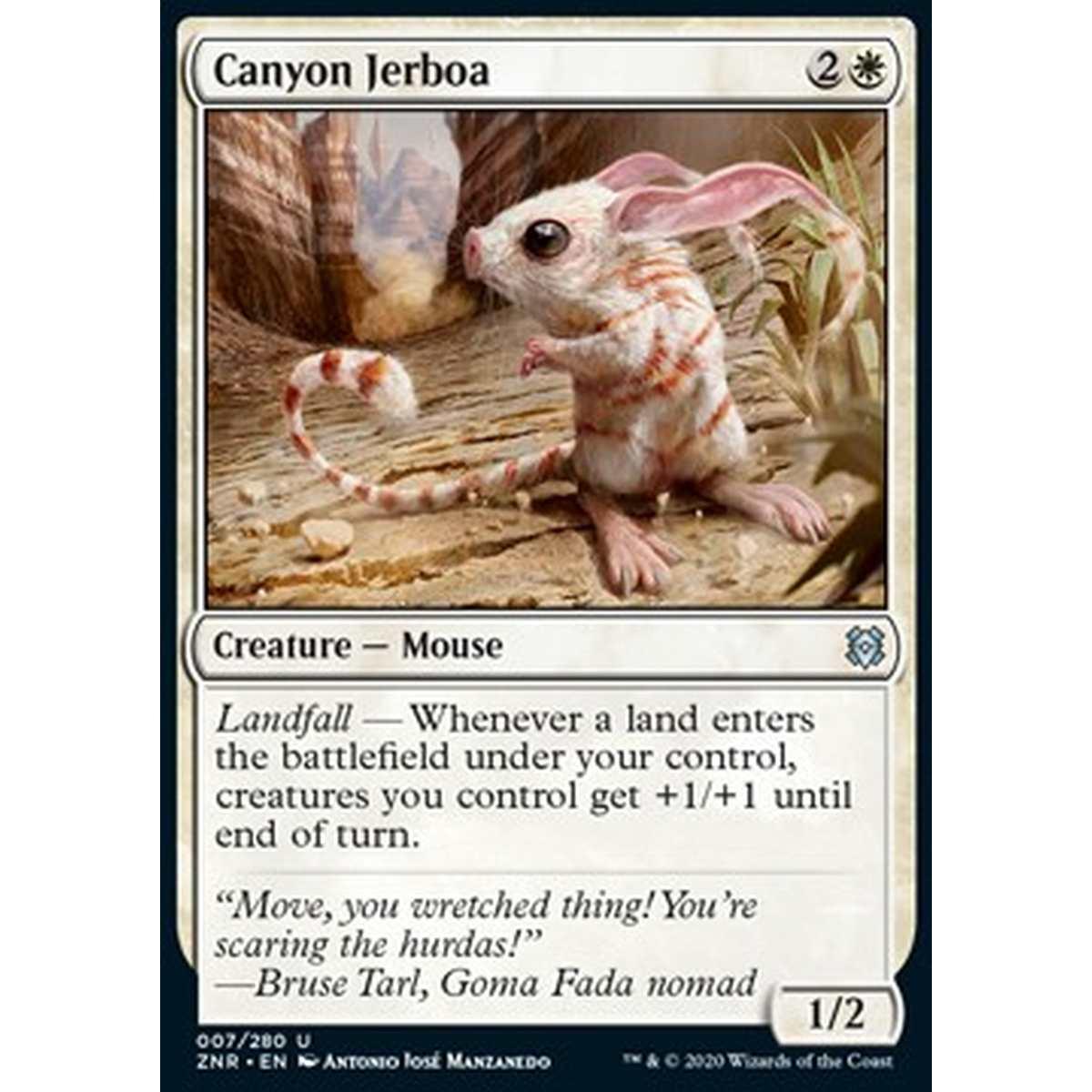 Canyon Jerboa - Gerboa del Canyon - [ZNR] [NM]