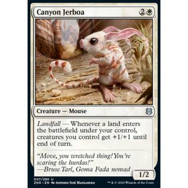Canyon Jerboa - Gerboa del Canyon - [ZNR] [NM]