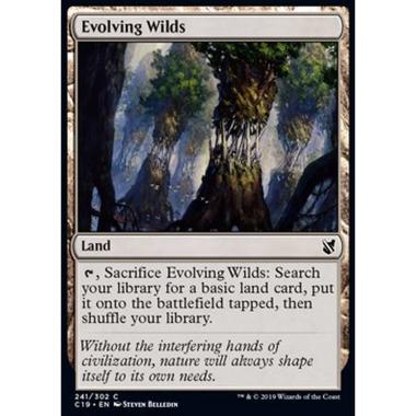 Evolving Wilds - Terre Selvagge in Evoluzione - [C19] [NM]