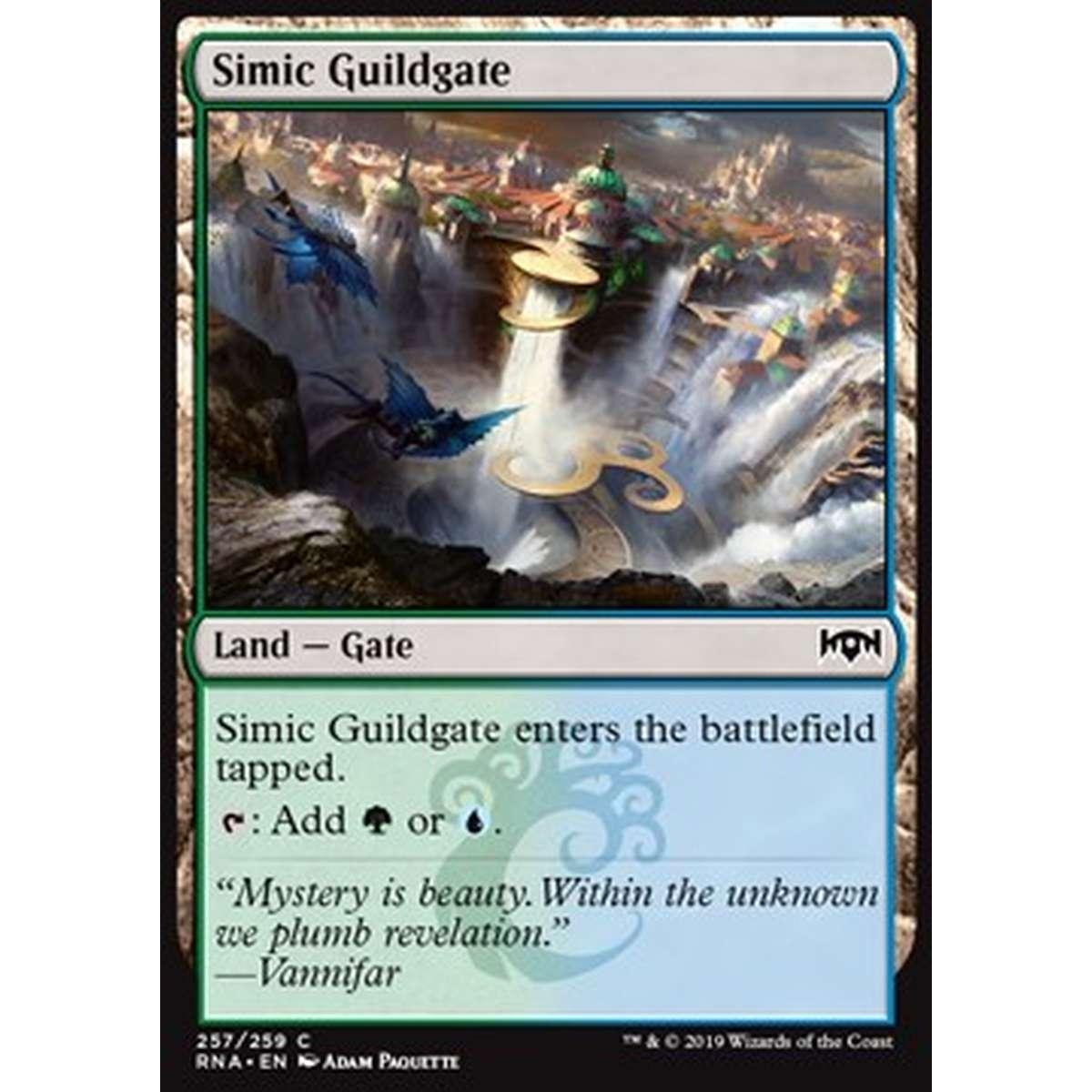 Simic Guildgate (V.1) - Cancello della Gilda Simic (V.1) - [RNA] [NM] [Foil]