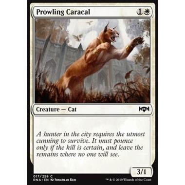 Prowling Caracal - Lince in Agguato - [RNA] [NM] [Foil]