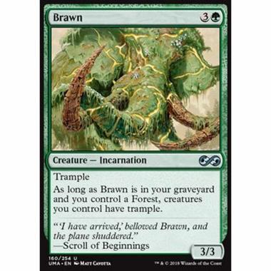 Brawn - Brawn - [UMA] [NM]