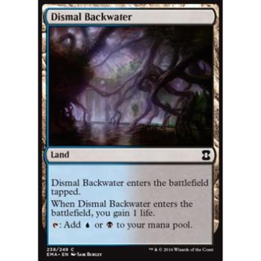 Dismal Backwater - Dismal Backwater - [EMA] [NM]