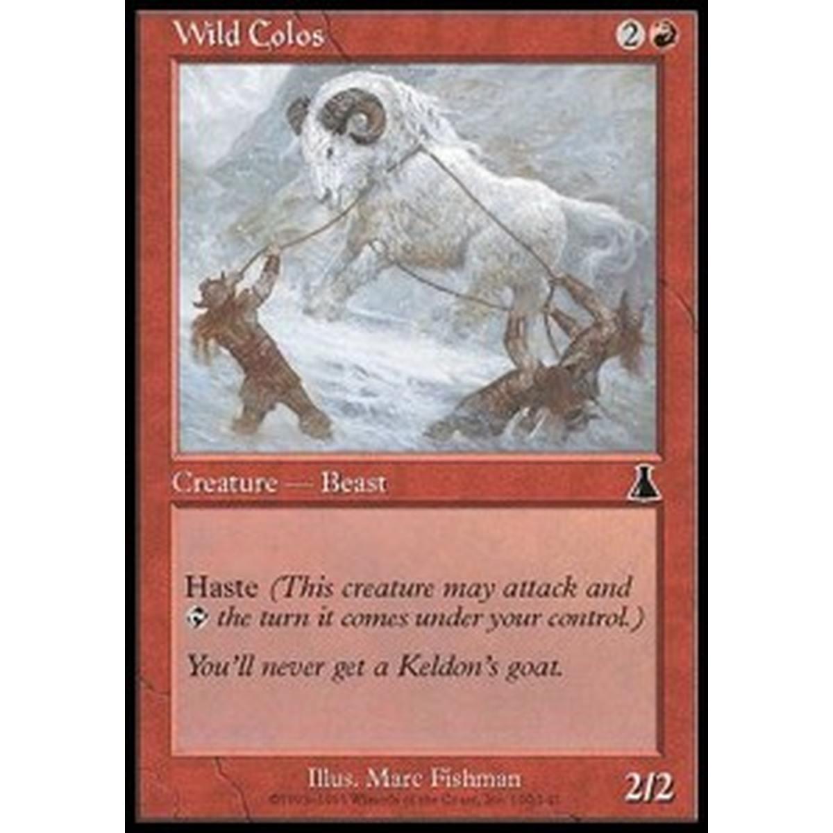 Wild Colos - Colos selvaggio - [UDS] [EX]