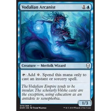 Vodalian Arcanist - Arcanista di Vodalia - [DOM] [NM] [Foil]