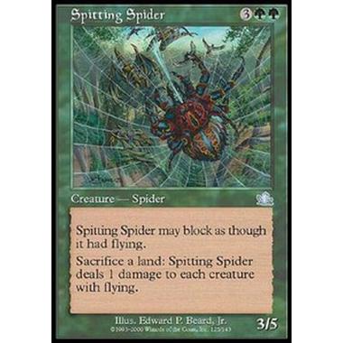 Spitting Spider - Spitting Spider - [PCY] [EX]