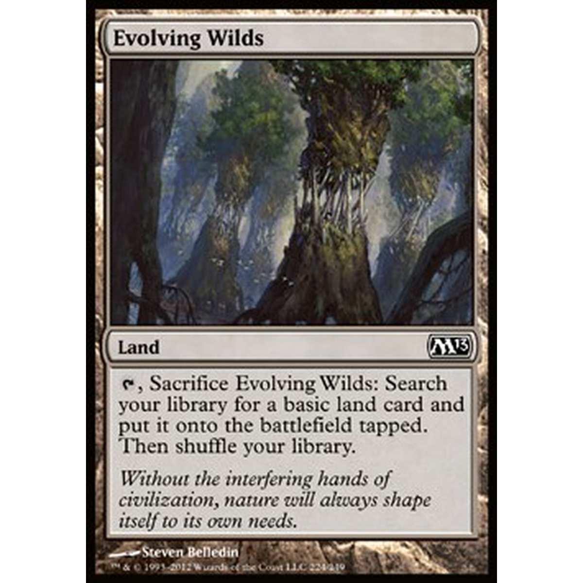 Evolving Wilds - Terre Selvagge in Evoluzione - [M13] [NM]