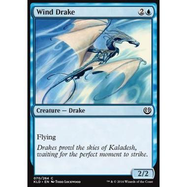 Wind Drake - Draghetto del Vento - [KLD] [NM]