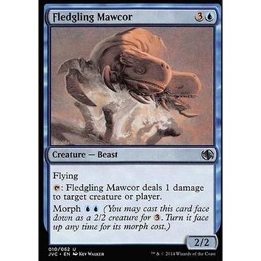 Fledgling Mawcor - Fledgling Mawcor - [DD3] [NM]
