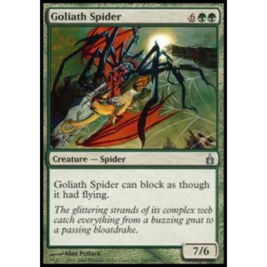 Goliath Spider - Ragno Golia - [RAV] [EX]