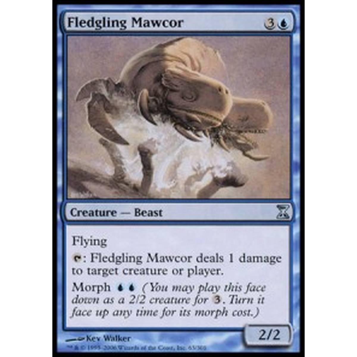 Fledgling Mawcor - Mawcor Implume - [TSP] [NM]